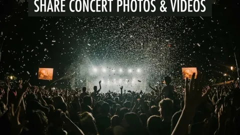 Concert Photo Sharing: How to Create a Shared Album for Your Squad